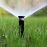 irrigation photo